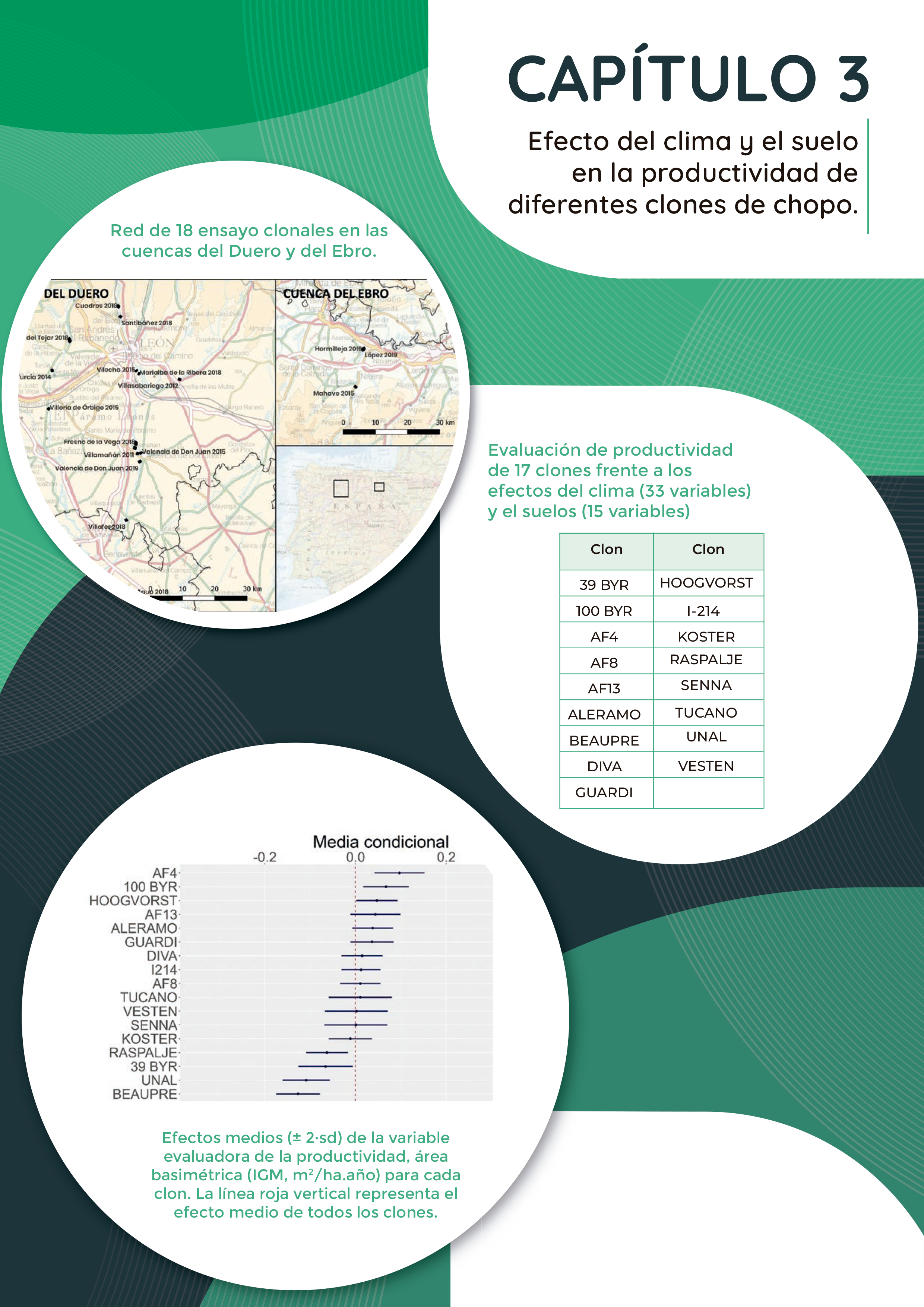 Efecto del clima y el suelo en la productividad de clones de chopo