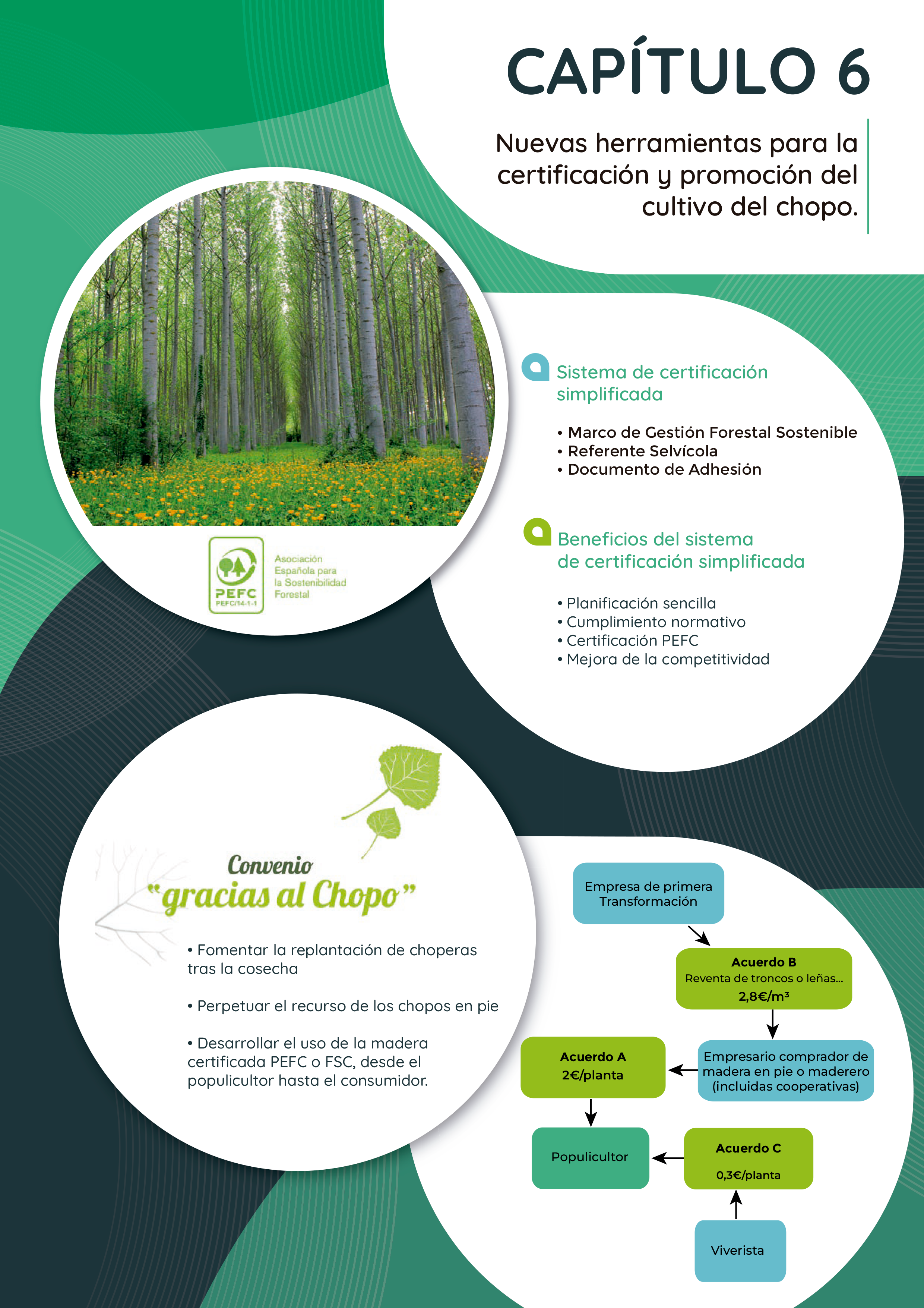 Nuevas herramientas para certificación y promoción del cultivo del chopo