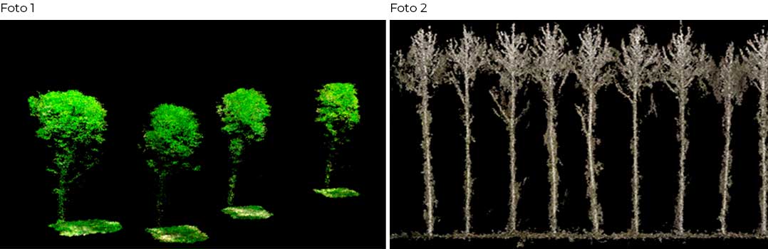 Nube de puntos LiDAR de los árboles individualizados y nube de puntos fotogramétrica de los árboles individualizados.