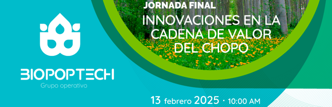 La jornada final del proyecto se celebrará en…