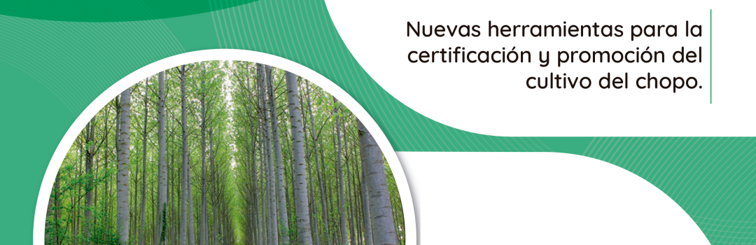 Impulso a la gestión sostenible de choperas en…