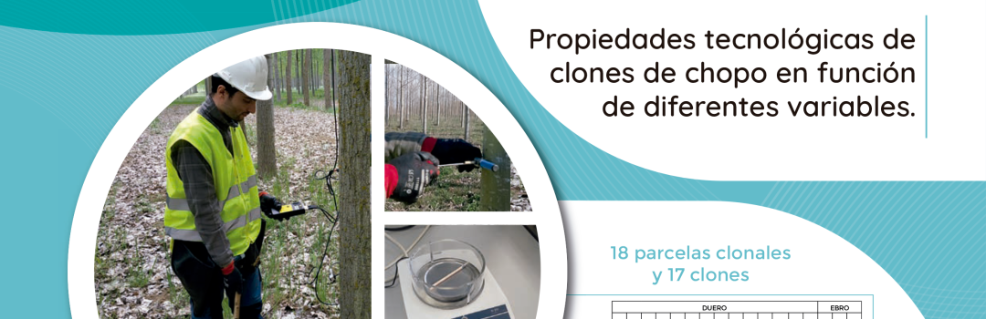 Propiedades tecnológicas de clones de chopo