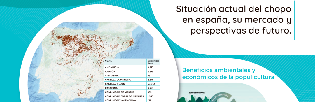 El Chopo: Un Ejemplo de Economía Circular y…